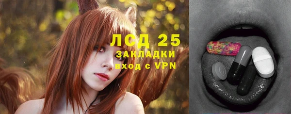 ПСИЛОЦИБИНОВЫЕ ГРИБЫ Козловка