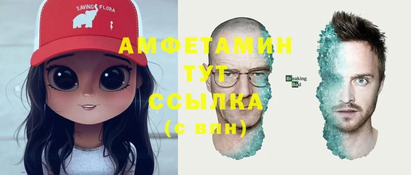 ПСИЛОЦИБИНОВЫЕ ГРИБЫ Козловка