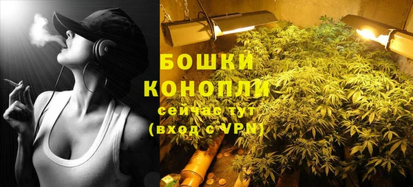 трава Козельск