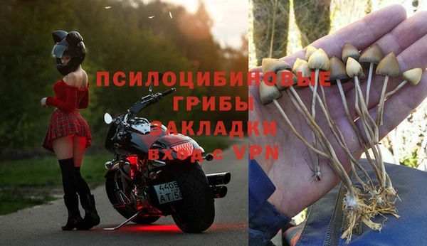 ПСИЛОЦИБИНОВЫЕ ГРИБЫ Козловка