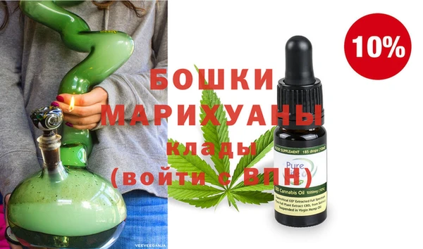 ПСИЛОЦИБИНОВЫЕ ГРИБЫ Козловка