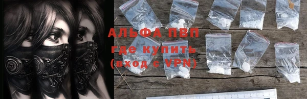 ПСИЛОЦИБИНОВЫЕ ГРИБЫ Козловка