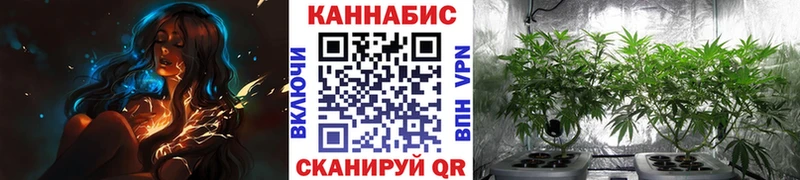 Конопля семена  Купить закладки  Абакан